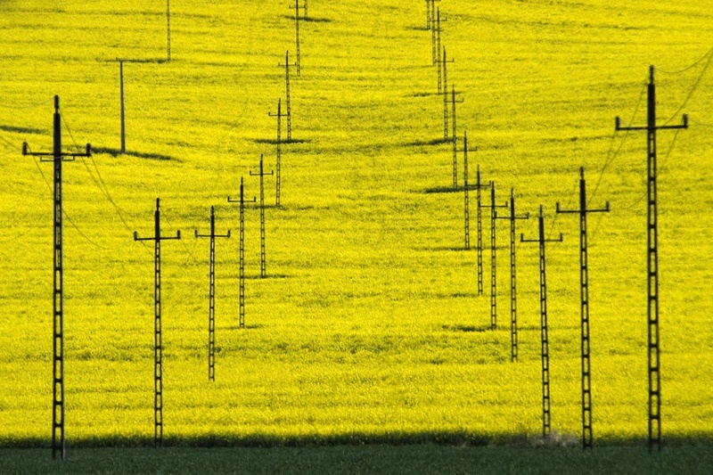 Rumena preproga by Duško Dokošič