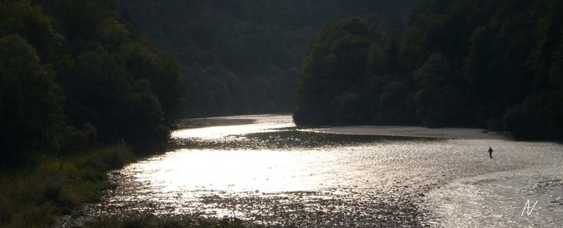 Ribič by smile