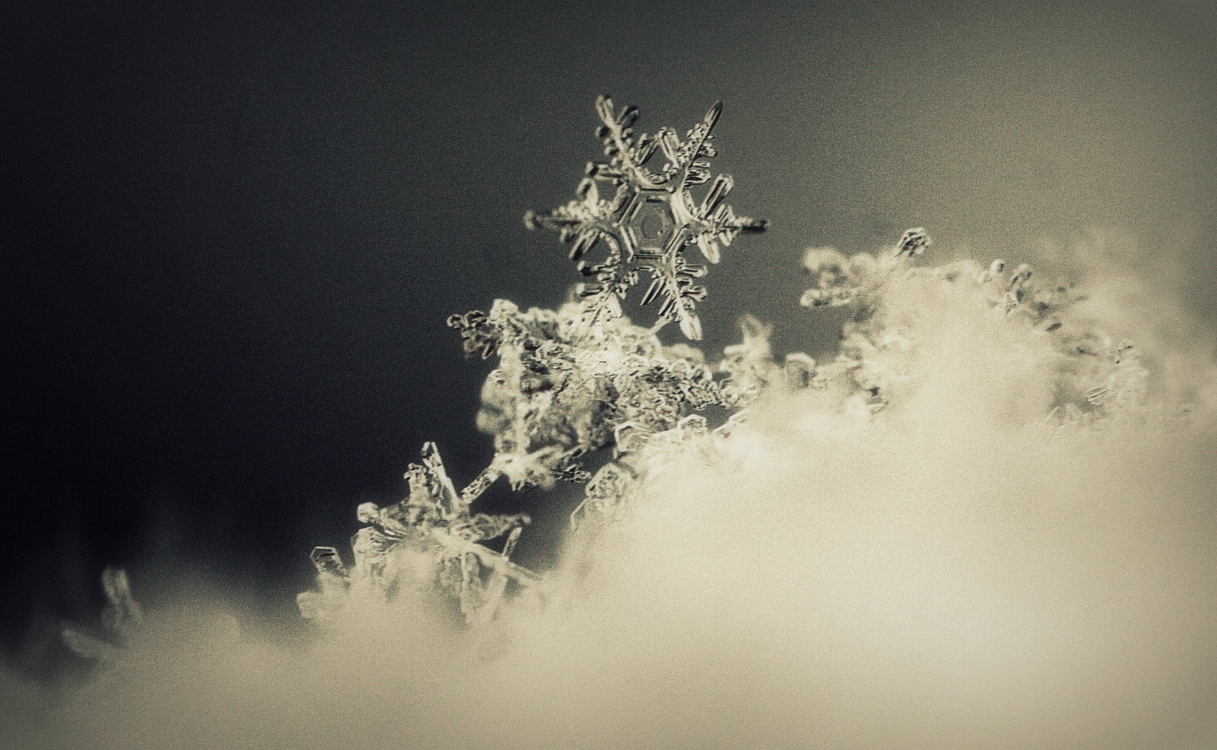 one in a billion... by Nina Lozej