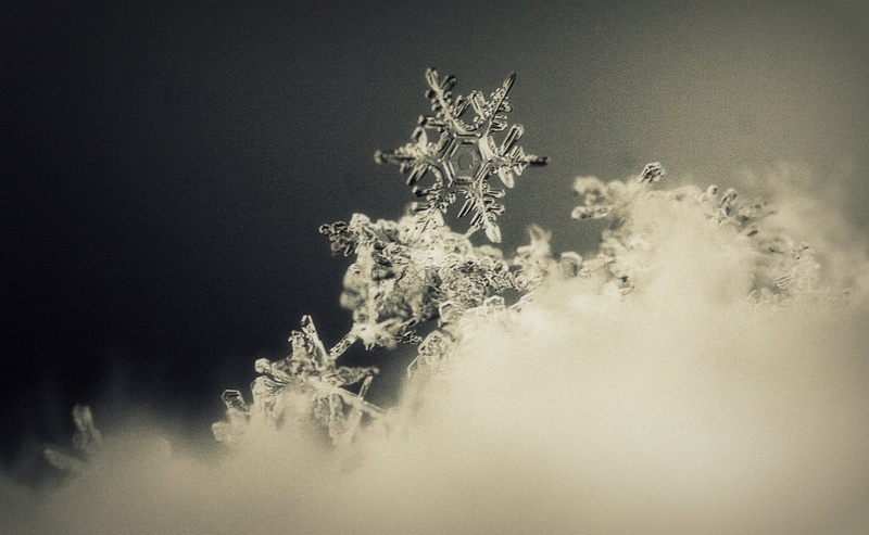 one in a billion... by Nina Lozej