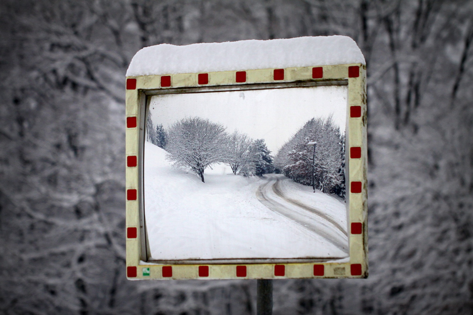 winter framed by Nina Lozej