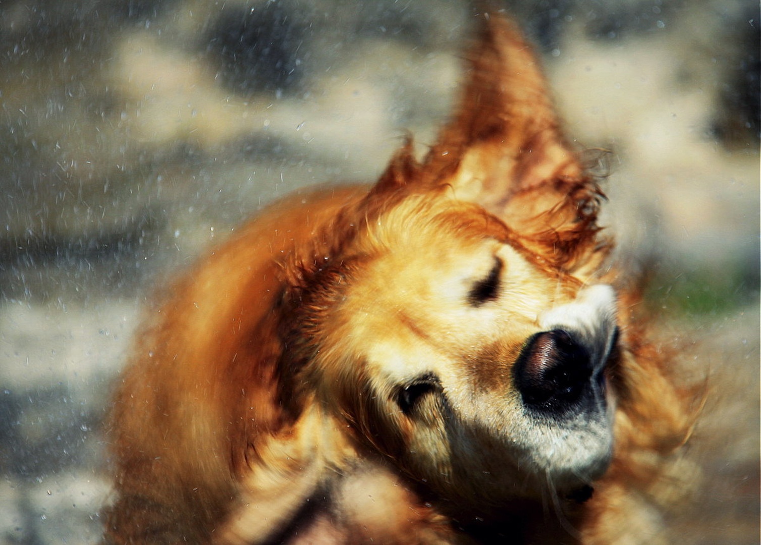 you spin my head... by Nina Lozej