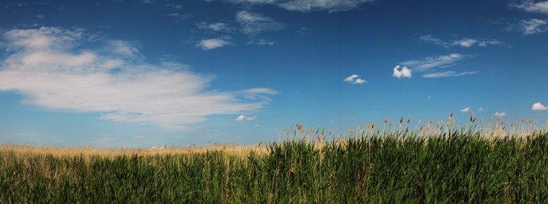 Simplicity by Nina Lozej