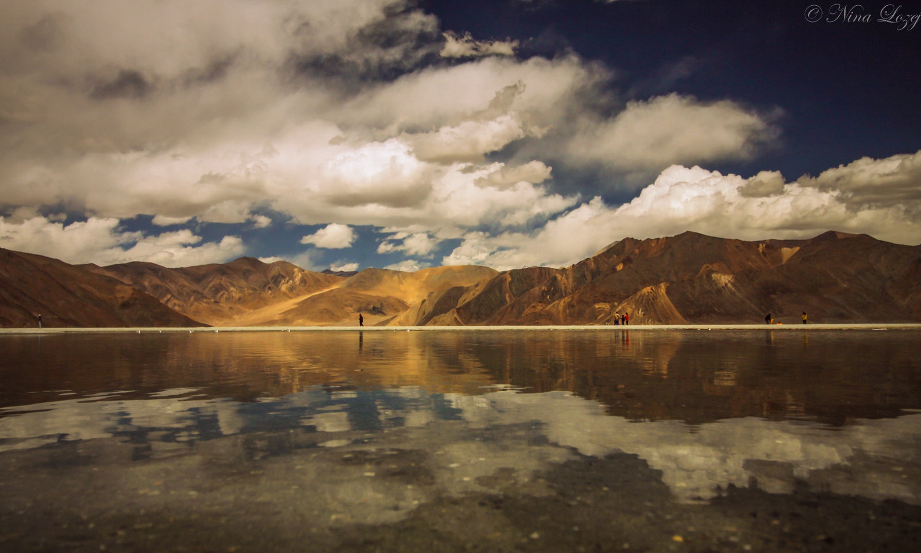 Pangong lake, Ladakh, India by Nina Lozej
