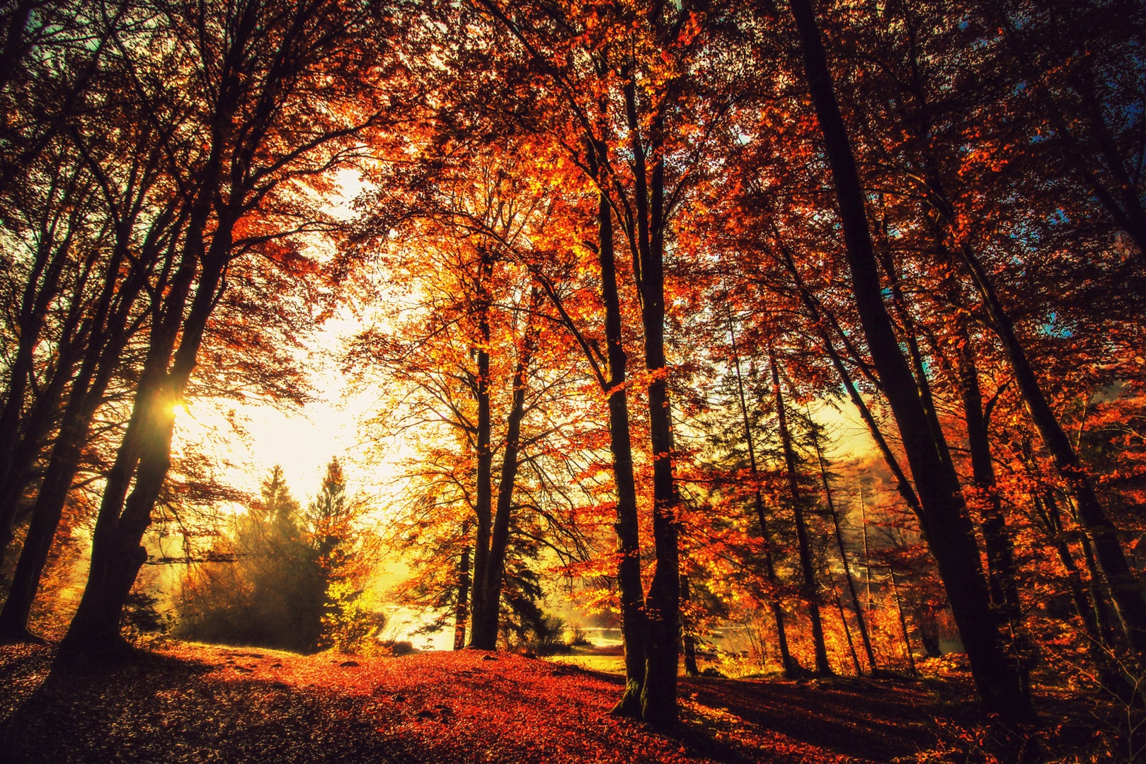 Autumn is calling.. by Nina Lozej
