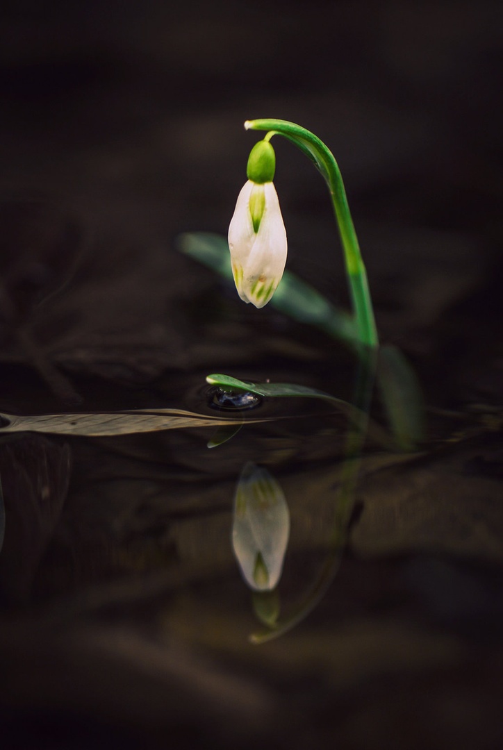 silent sadness by Nina Lozej