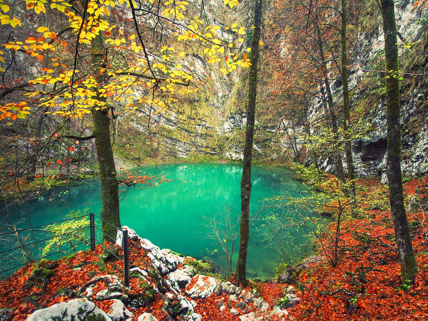 Divje jezero by Nina Lozej