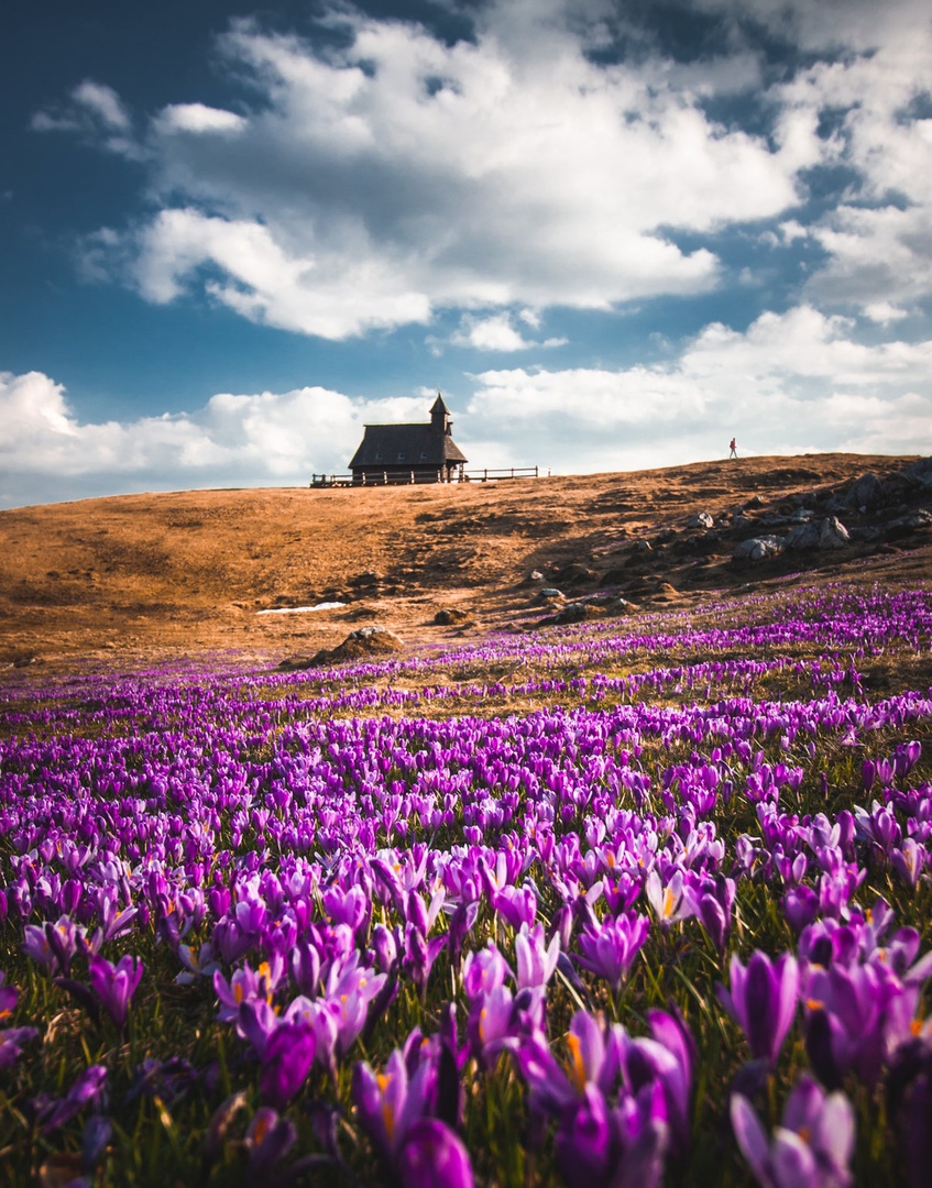 Velika planina by Nina Lozej