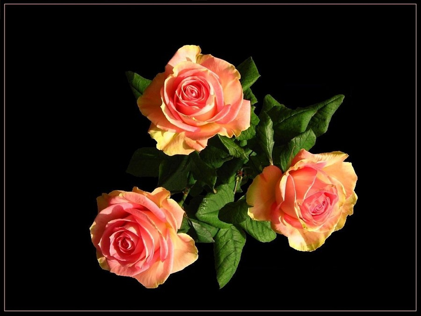 three roses by Nina Lozej
