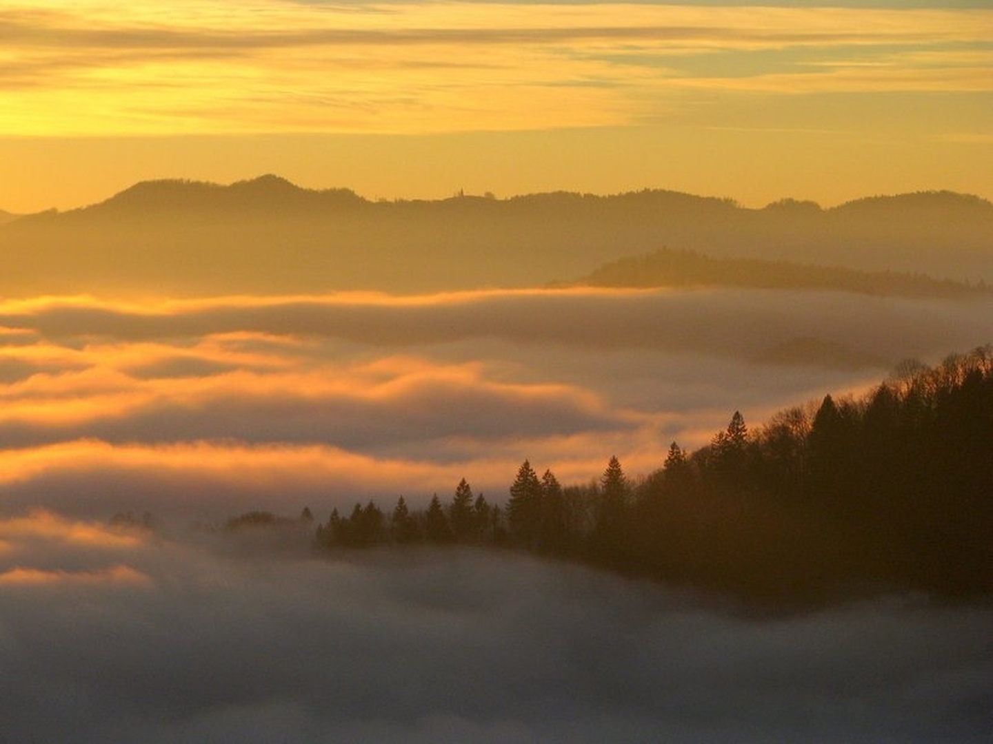 foggy sunset by Nina Lozej