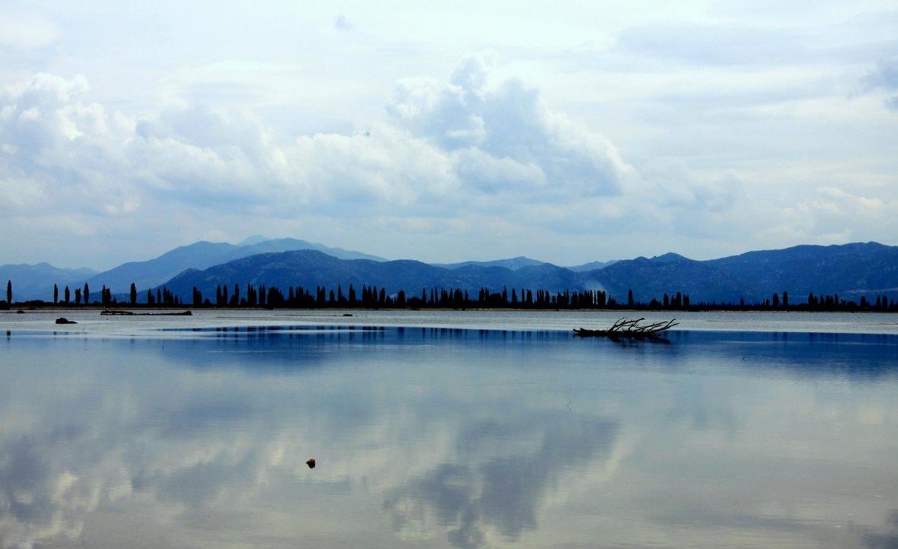 When I'm feelin blue by Nina Lozej