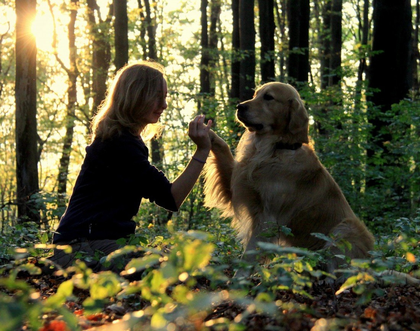 Friends Forever by Nina Lozej
