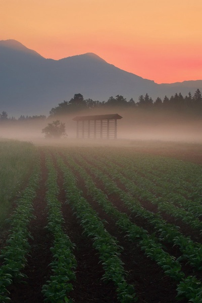 Soriško polje by Matej Vranič