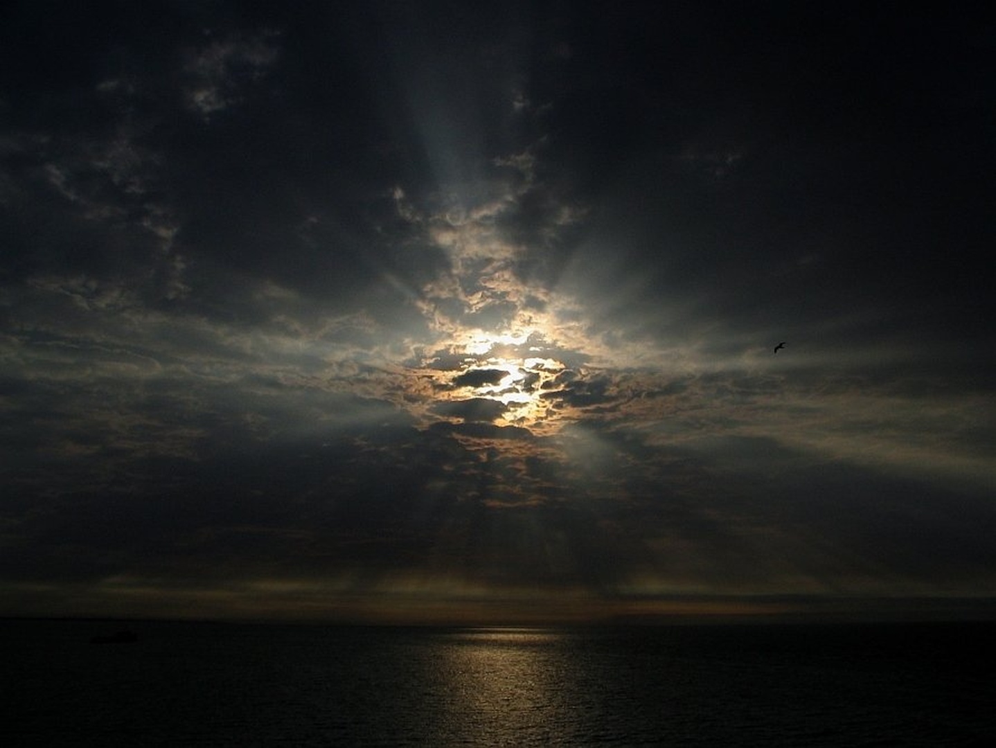 Explosive Morning by