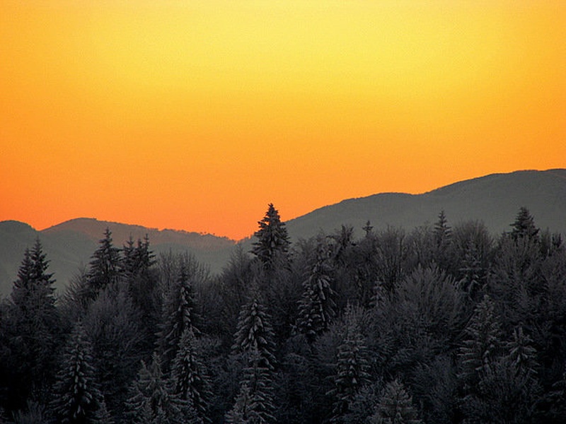 Vse pa NČ by Matej Rant