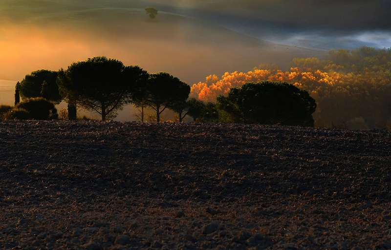 jutro by ***