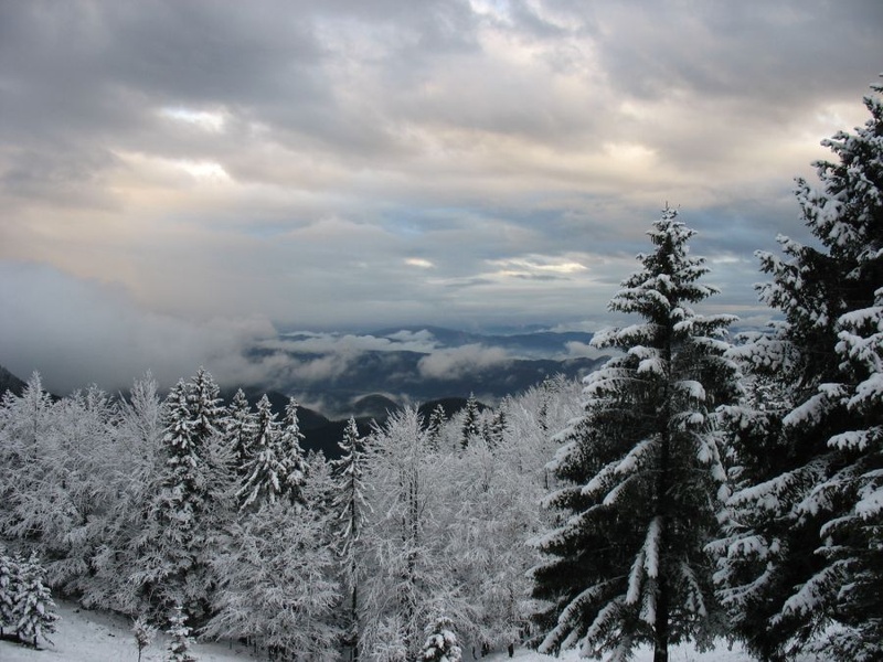 Velka Planina by Matej