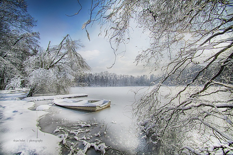 goodbye winter wonderland by Dejan B