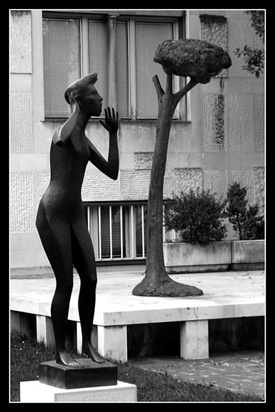 Evin greh by Valter Rupnik