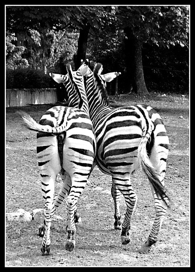 Kiss My Ass by Valter Rupnik