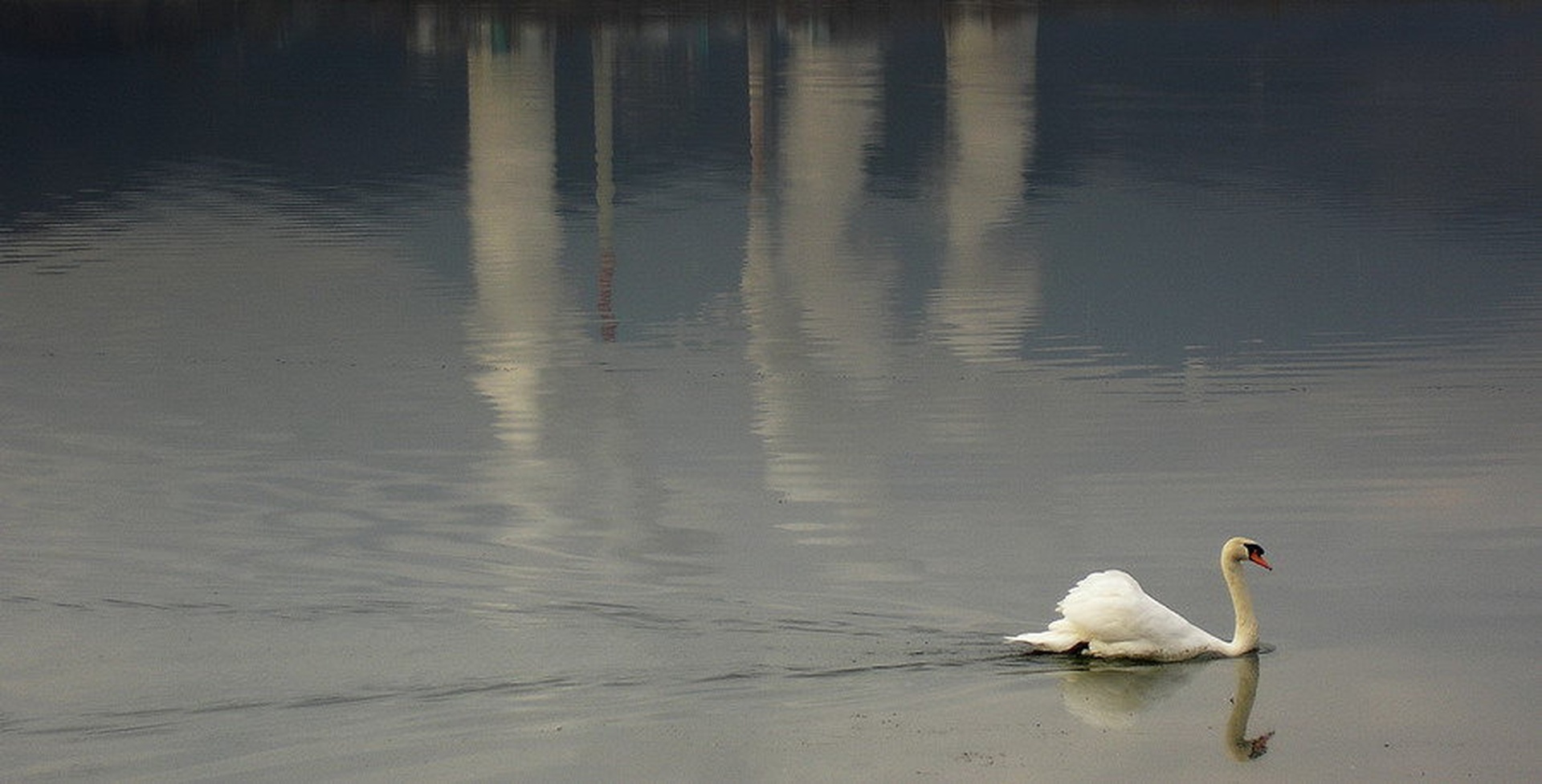 Labodje jezero by Matic Trepelj
