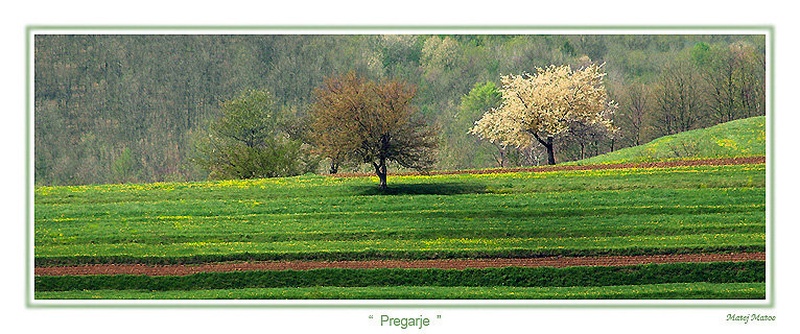 ...pomirjajoče... by Matej Matos