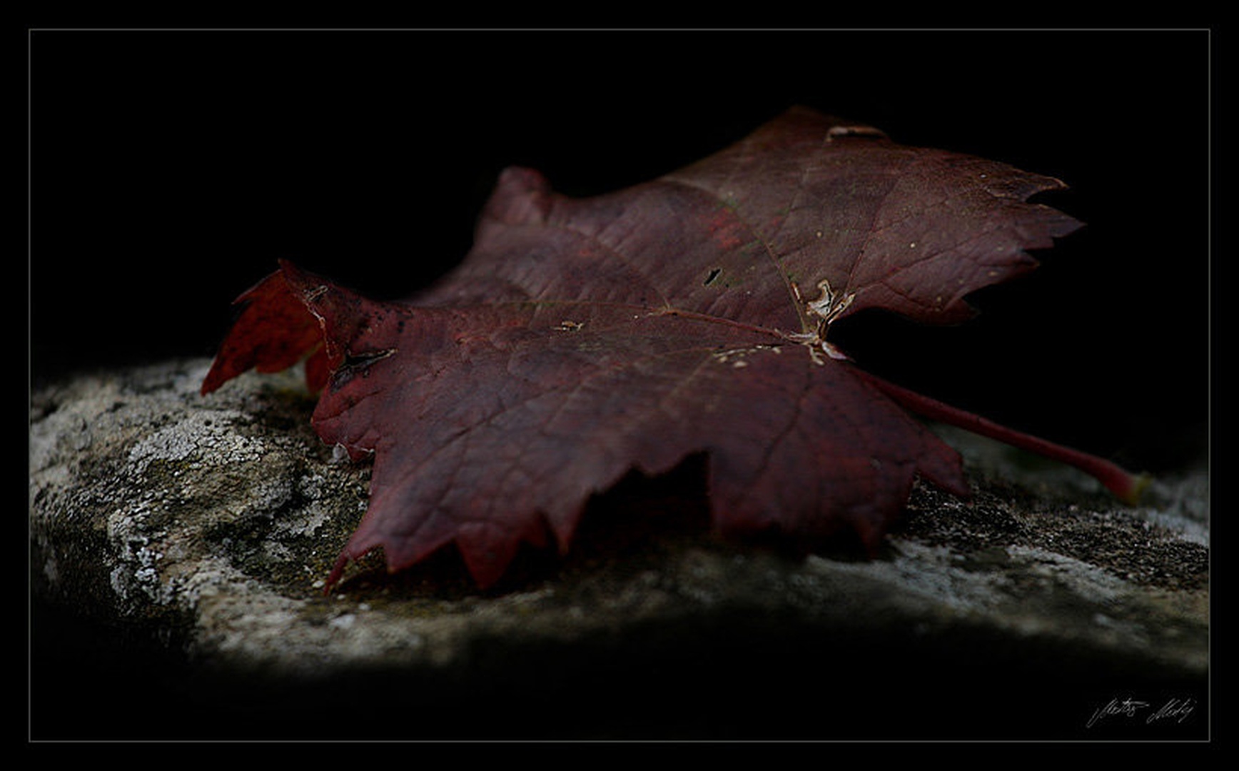 ...konec trpljenja... by Matej Matos