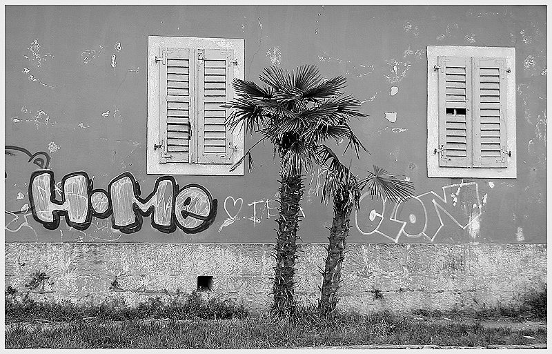 home by marko
