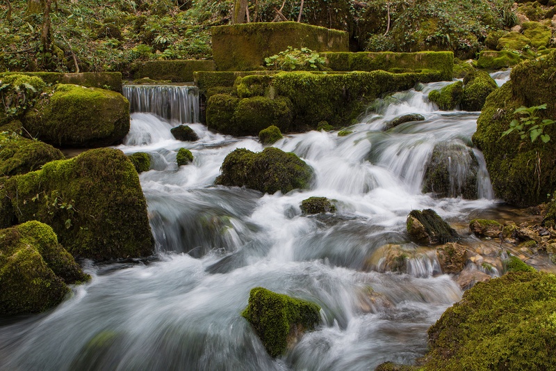 Go with a flow... by Jessie