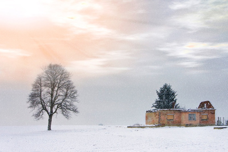 Narnia by Jessie