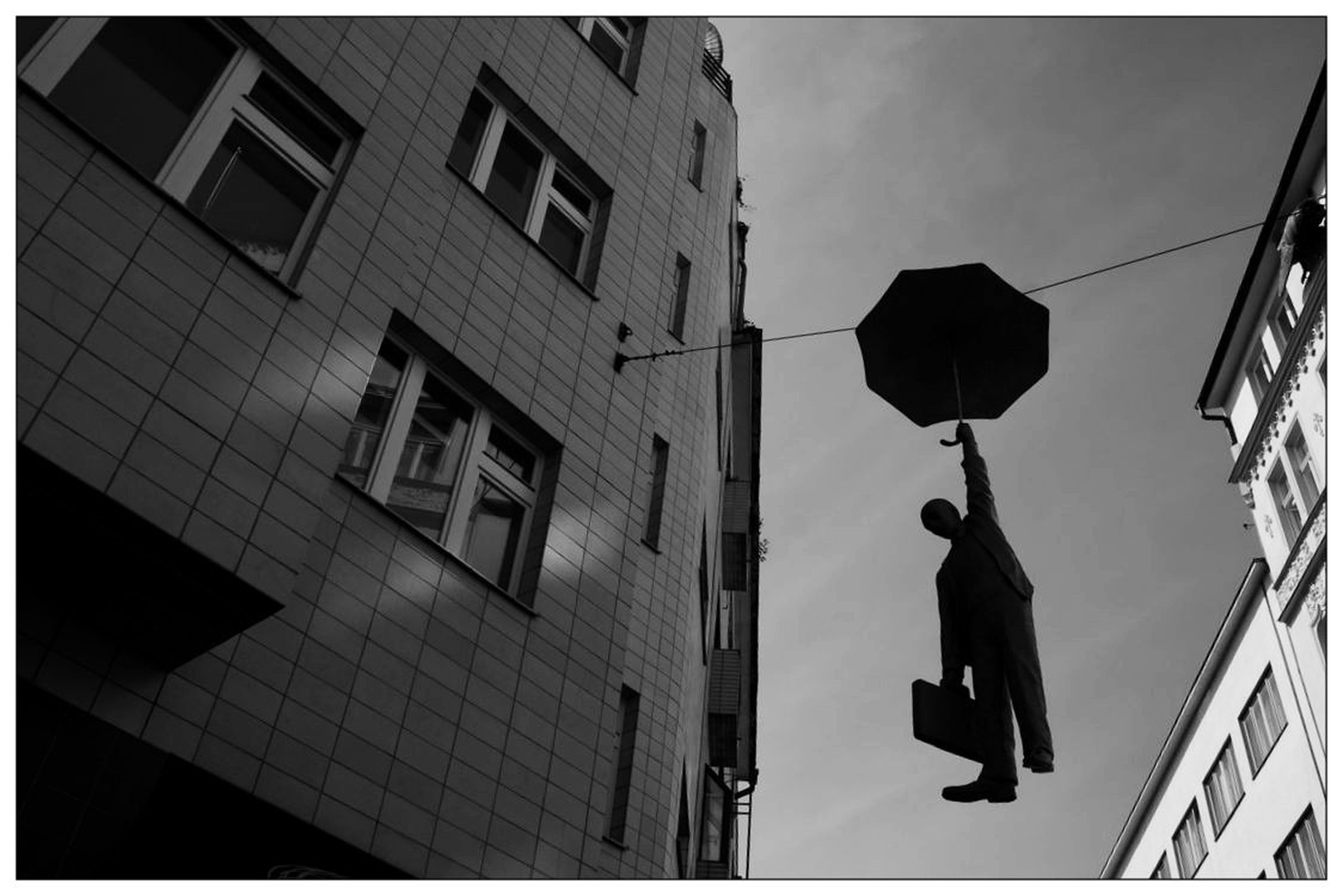 ... padalec ... by urban babnik