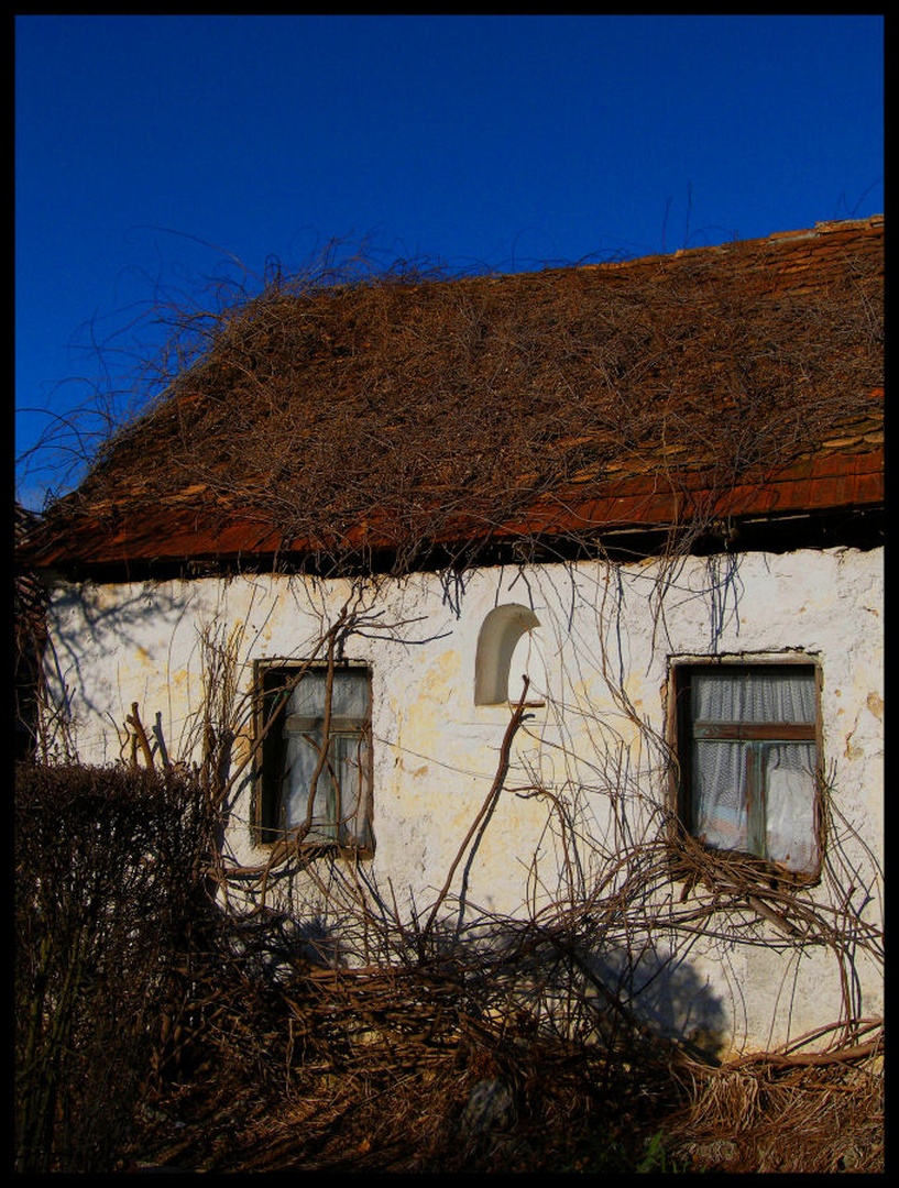 trnuljčica by boris kozjan