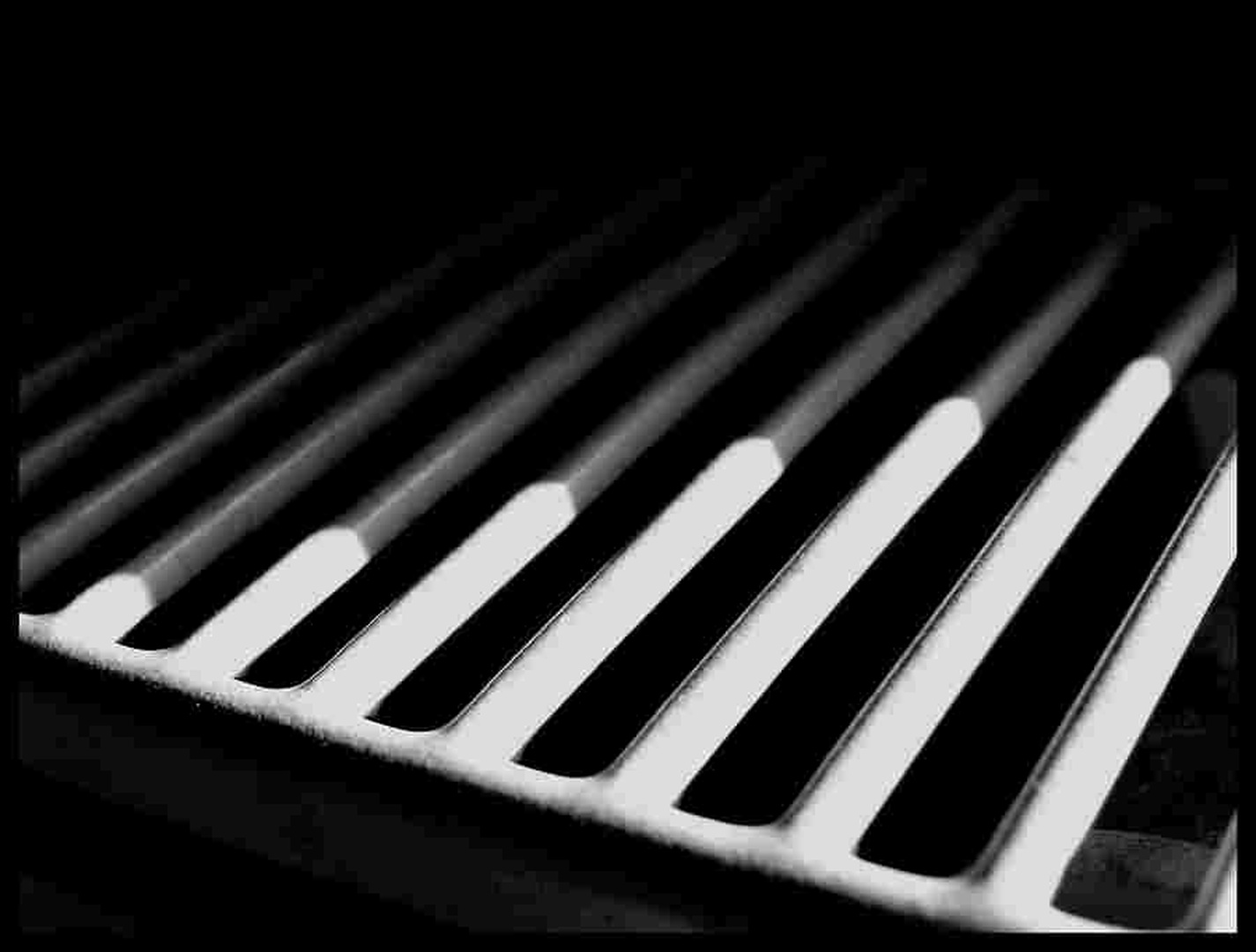 Bars.. by boris kozjan