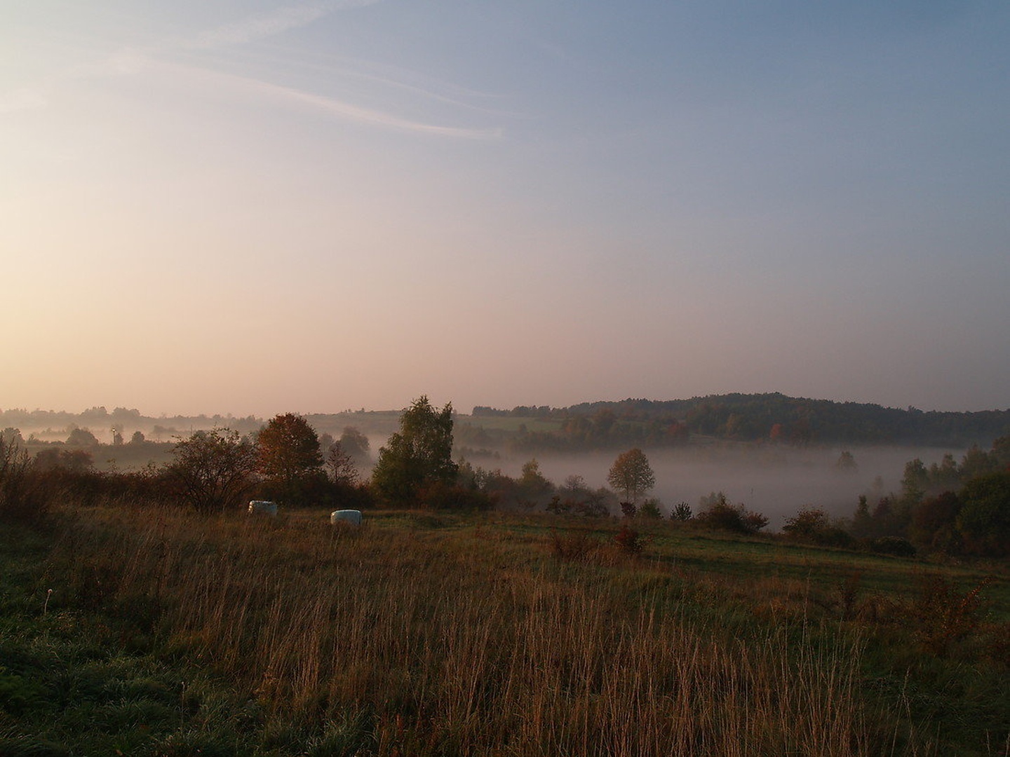 Misty morning by