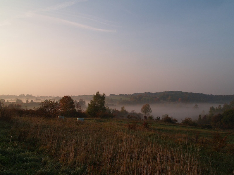 Misty morning by eledhwen