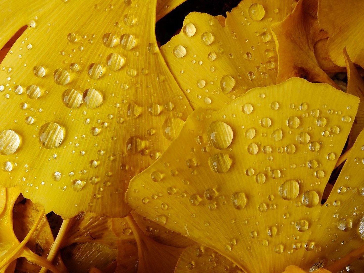Even nature cries... by