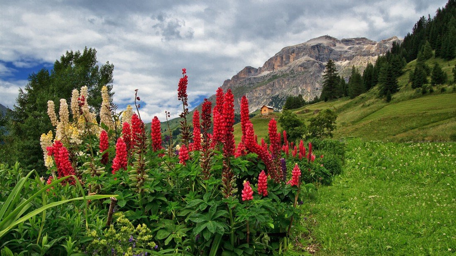 Dolomiti by stefan