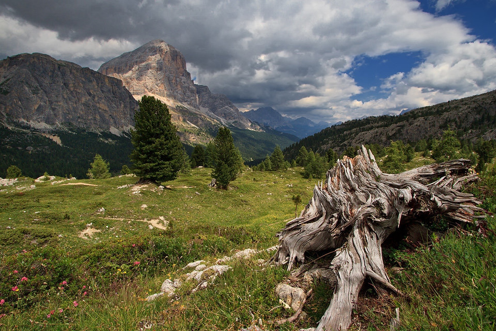 Tofana di Rozes by stefan
