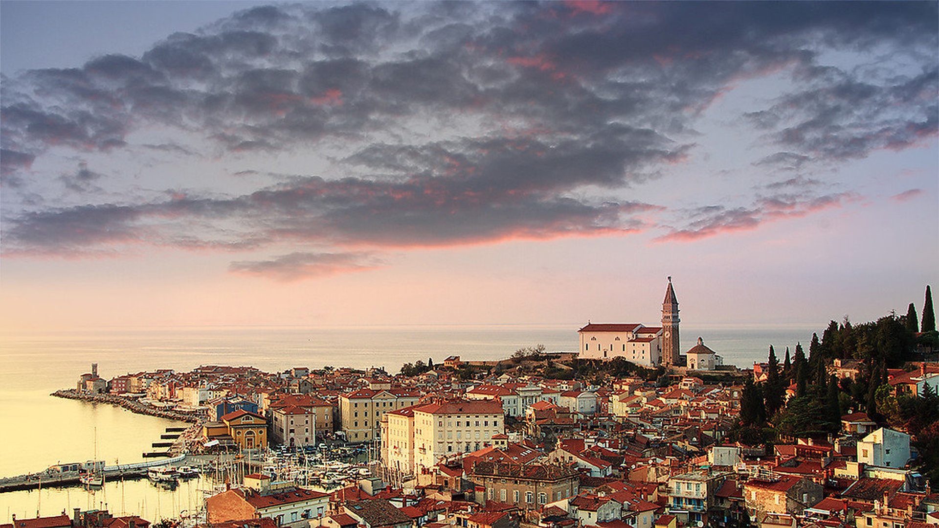 naš biser by stefan