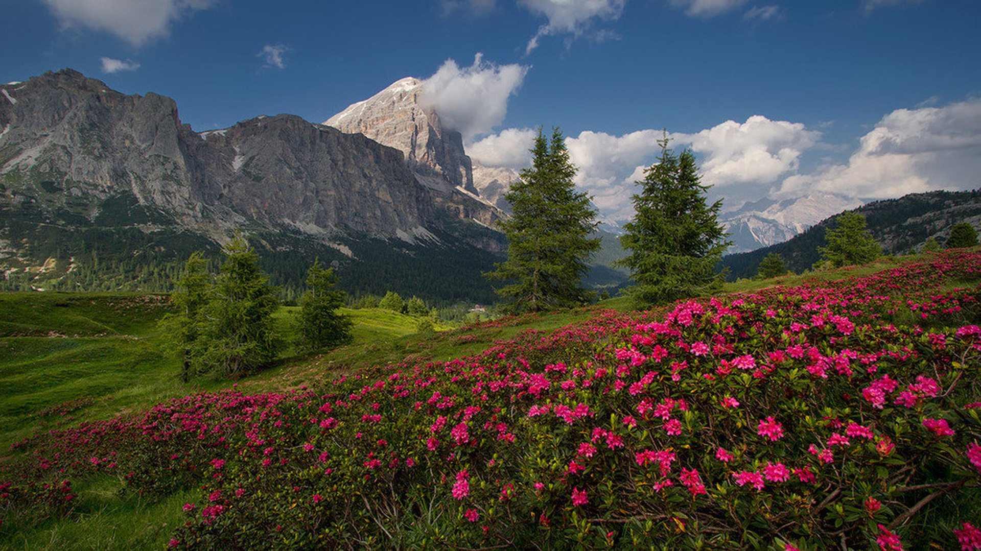 Dolomiti by stefan