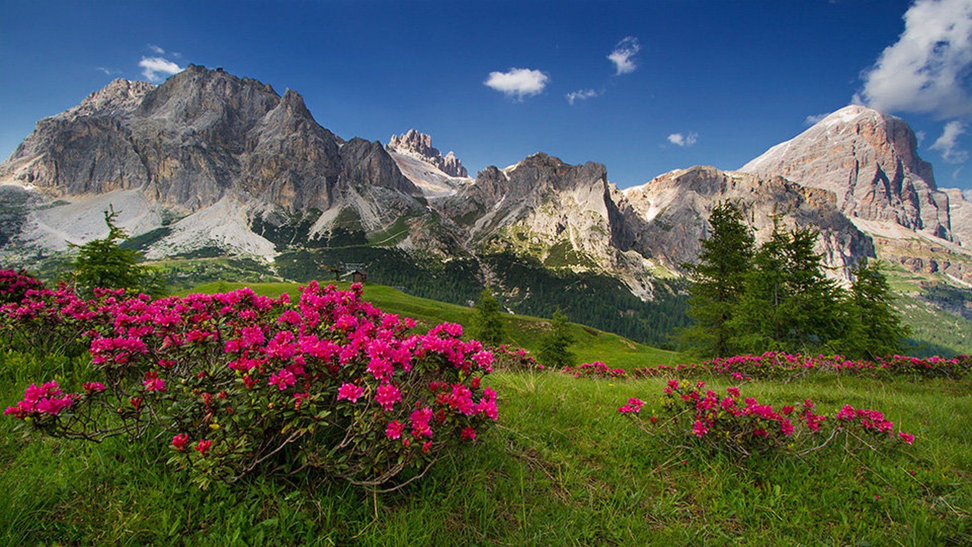 v paradižu by stefan