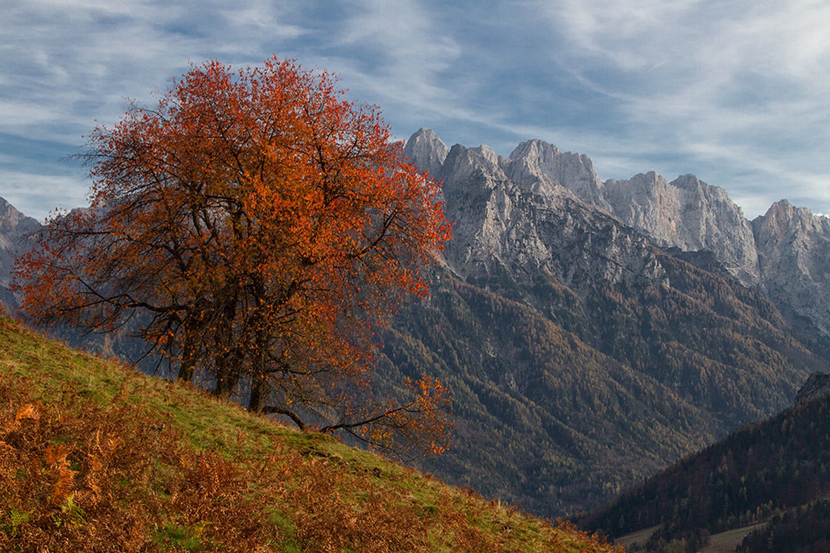 barve se počasi poslavljajo by stefan