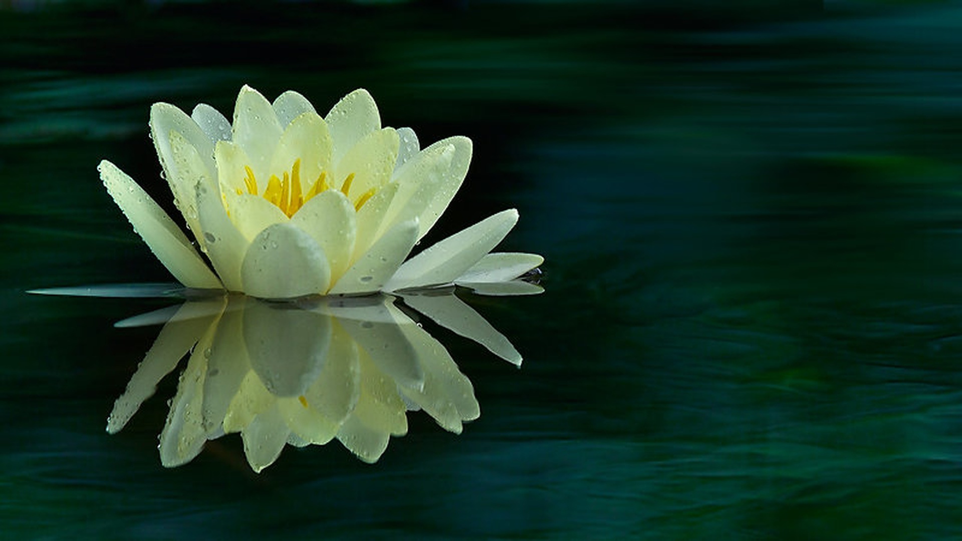 lepotec by stefan