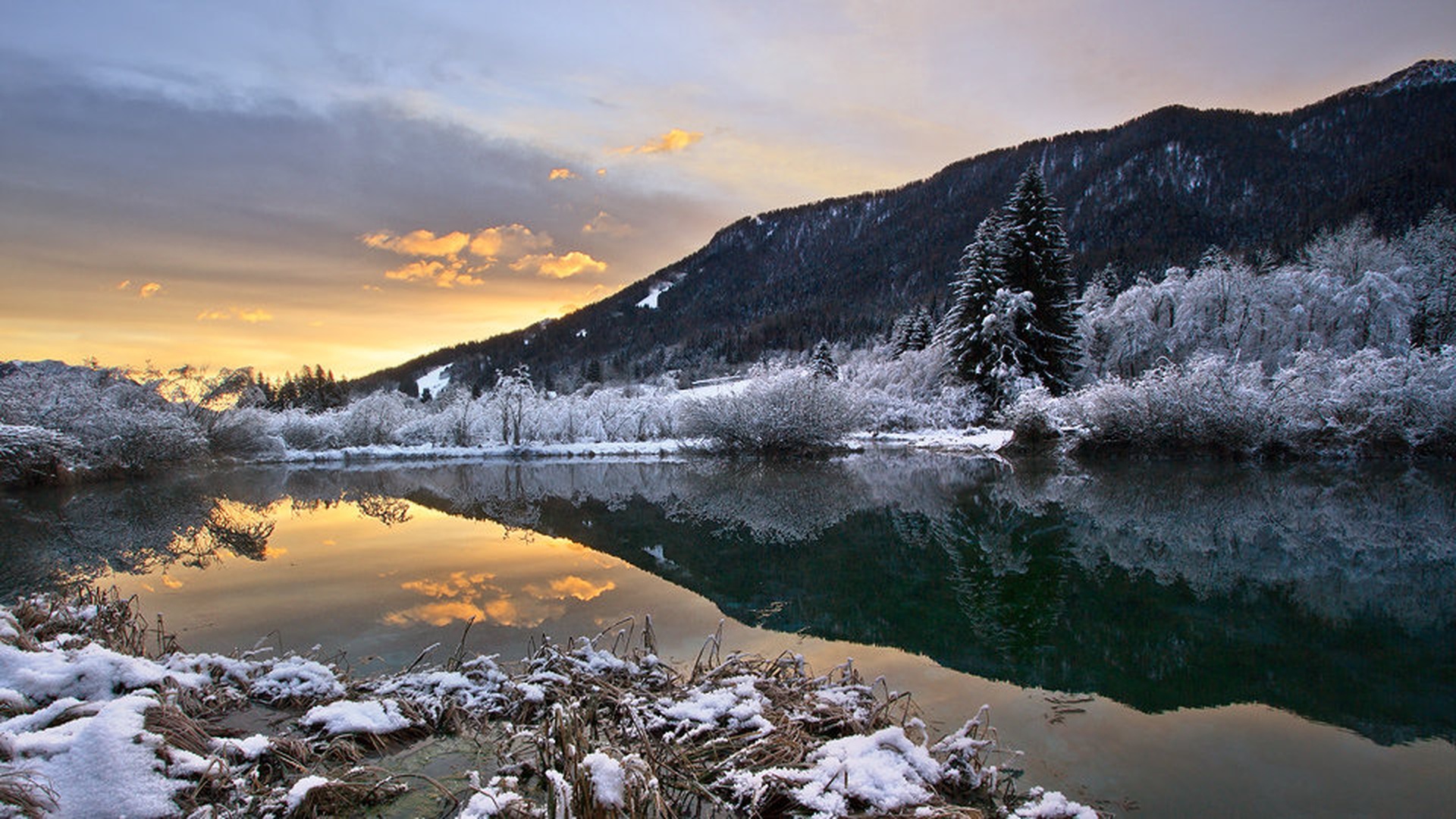 dobro jutro by stefan