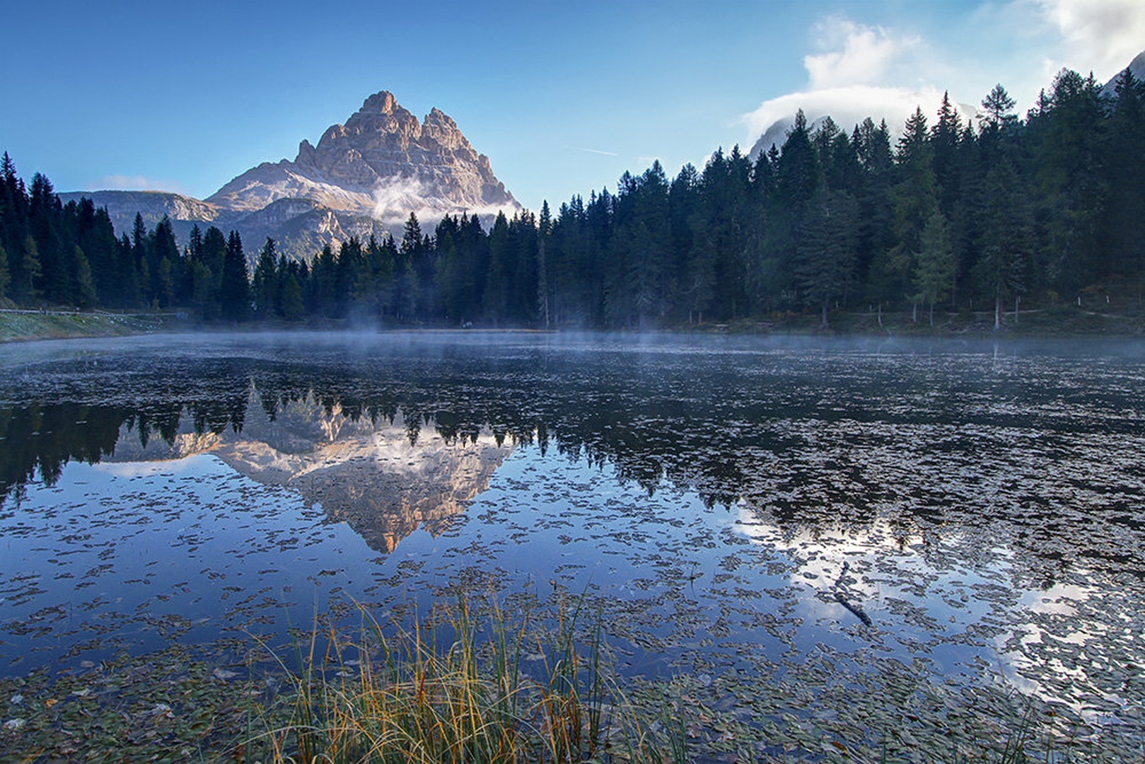 brrr by stefan