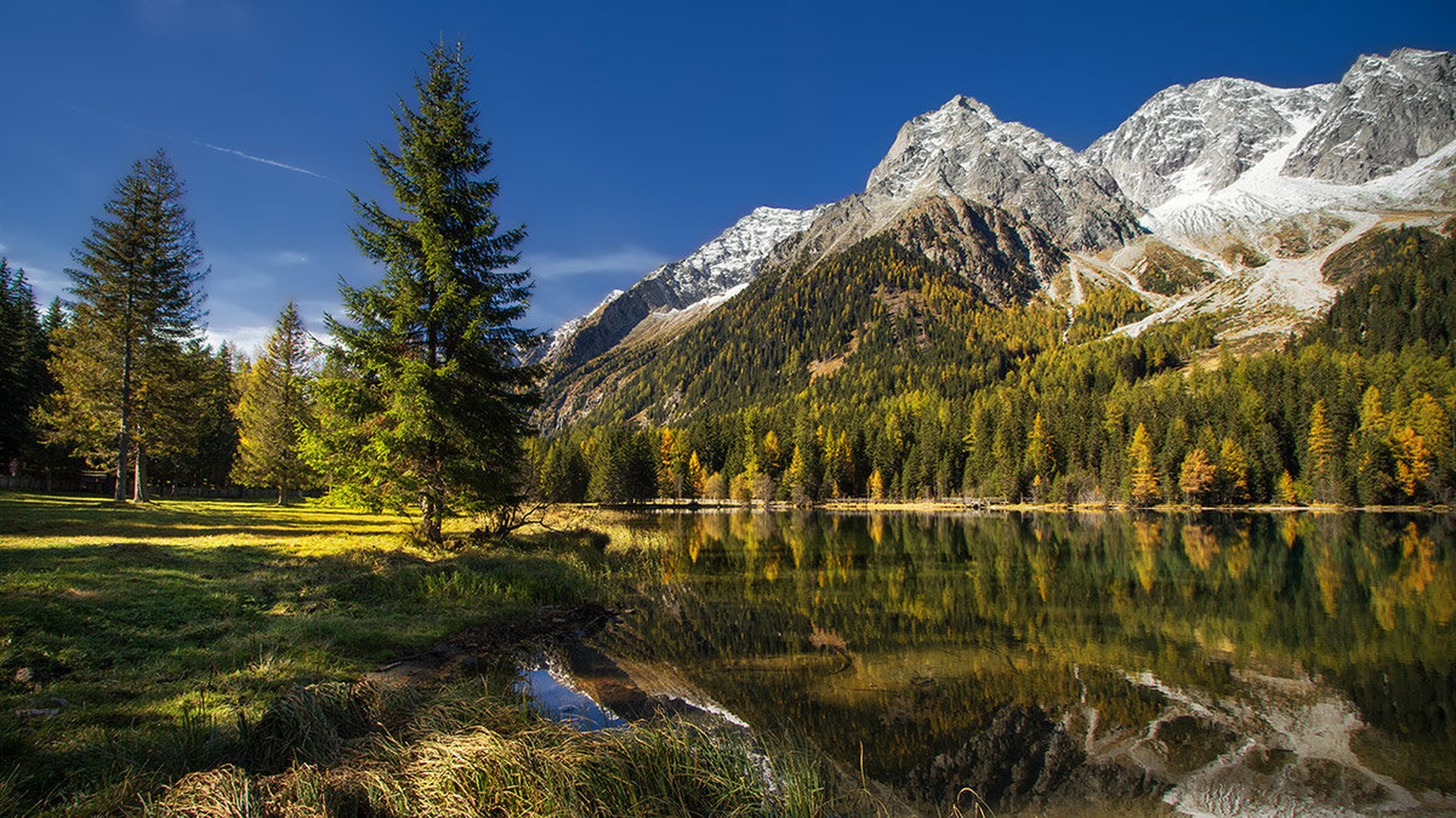 spomin by stefan