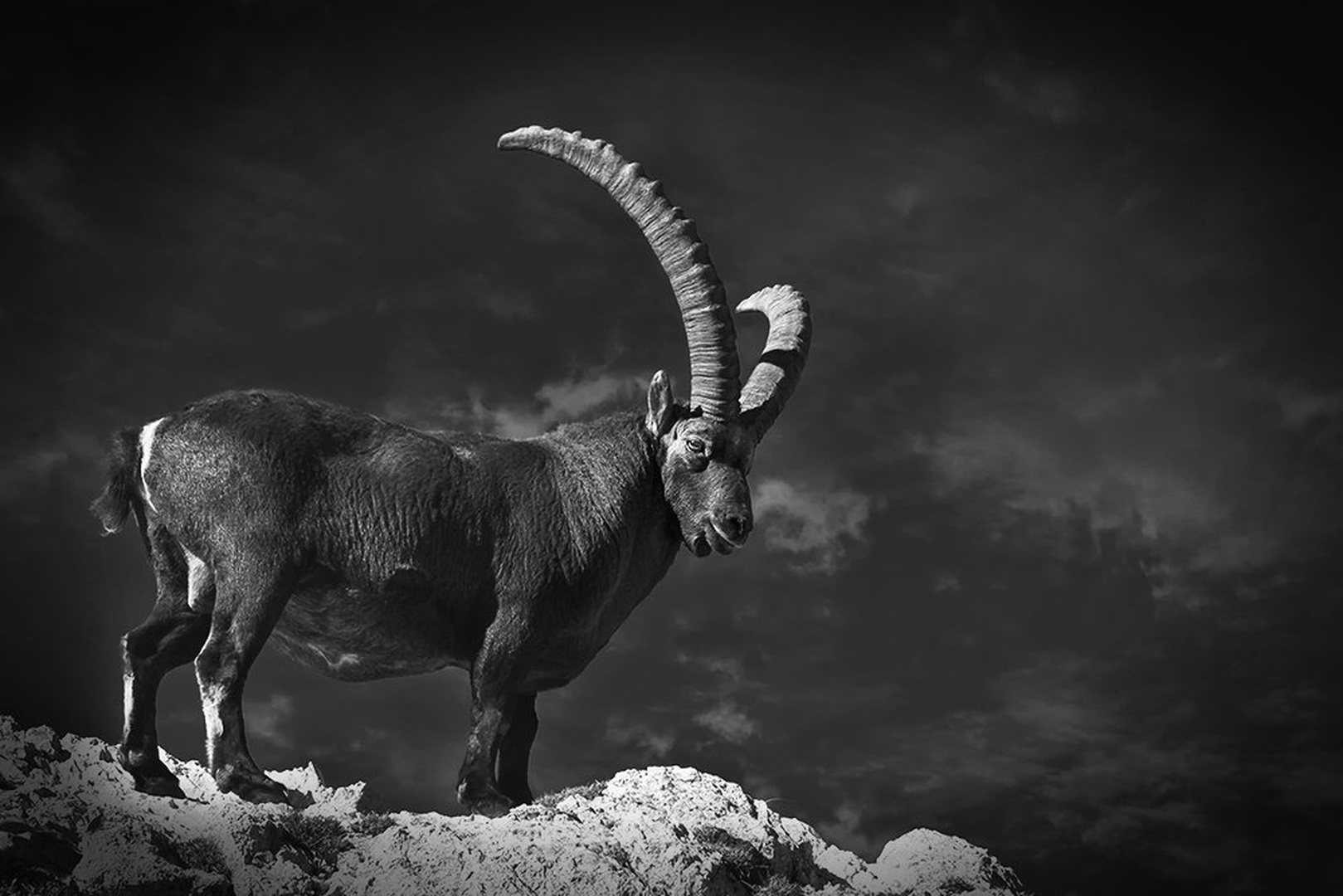 na ogled se postavi by stefan
