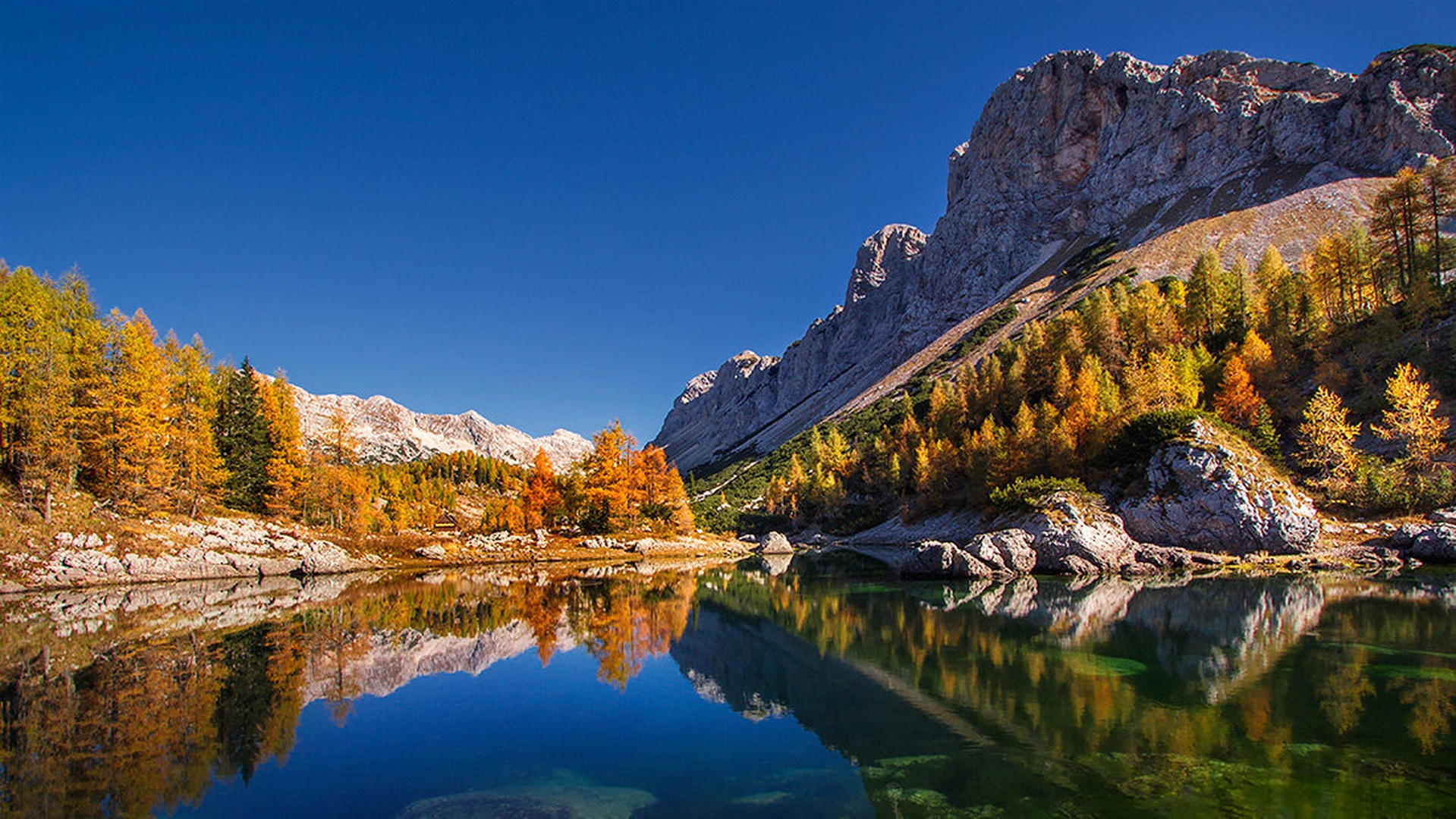 barve jeseni by stefan
