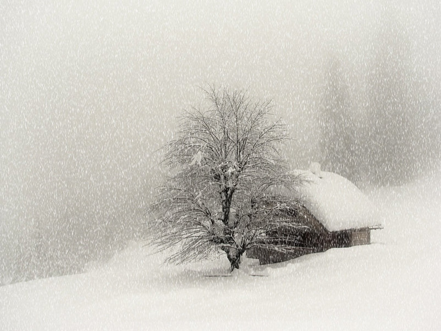 oh ta zima by stefan