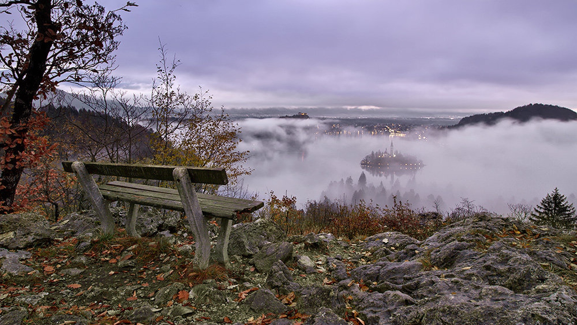 ples meglic by stefan